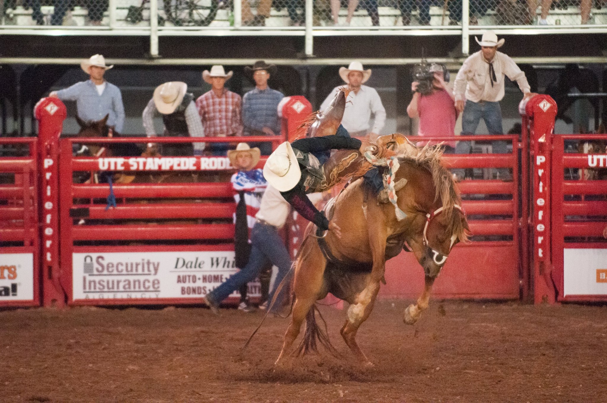 Ute Stampede Rodeo