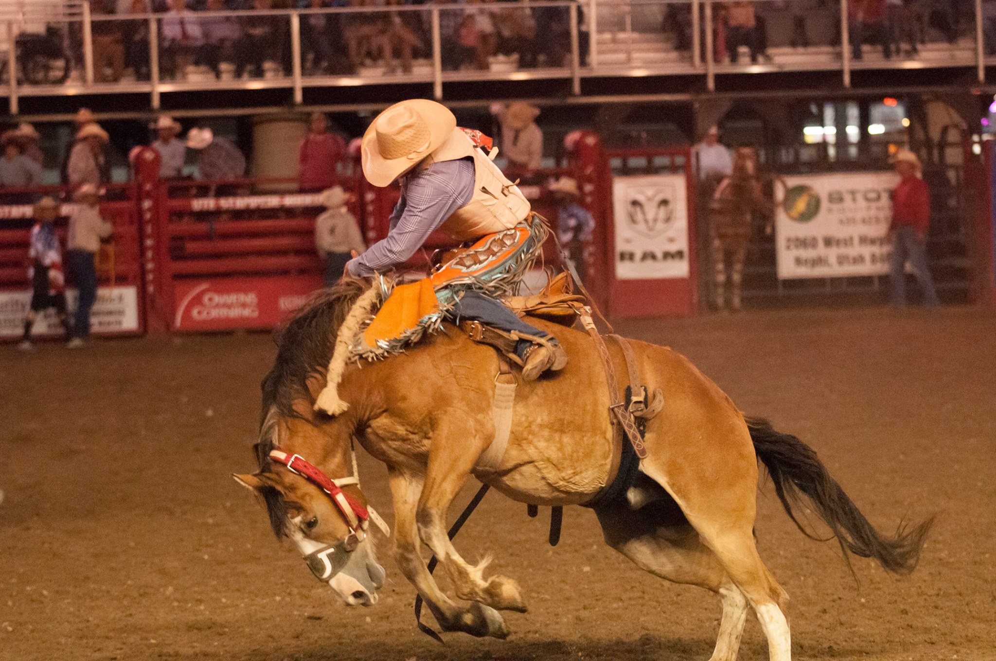 Ute Stampede Rodeo