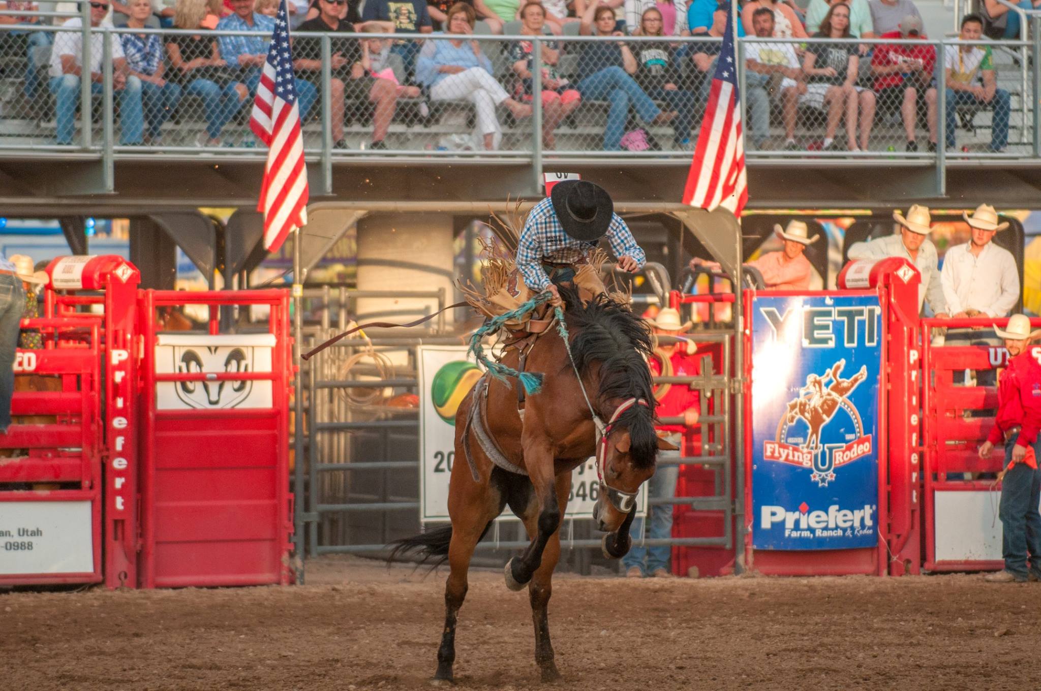 Ute Stampede Rodeo