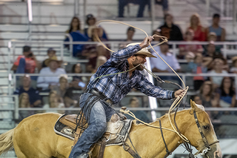 Ute Stampede Rodeo