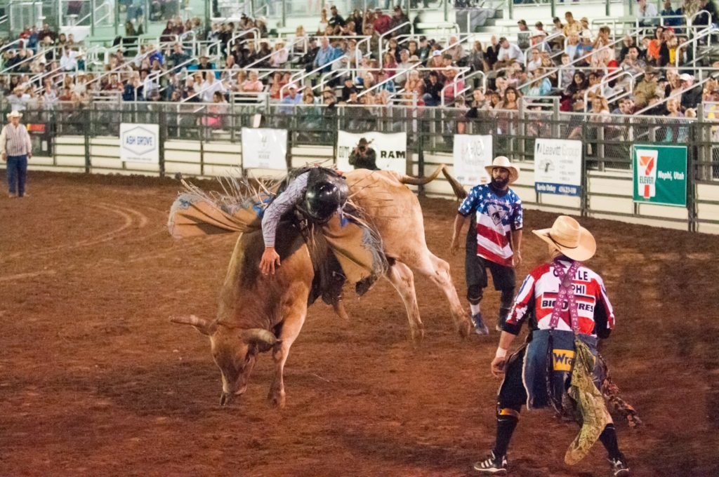 Ute Stampede Rodeo Bull Riding