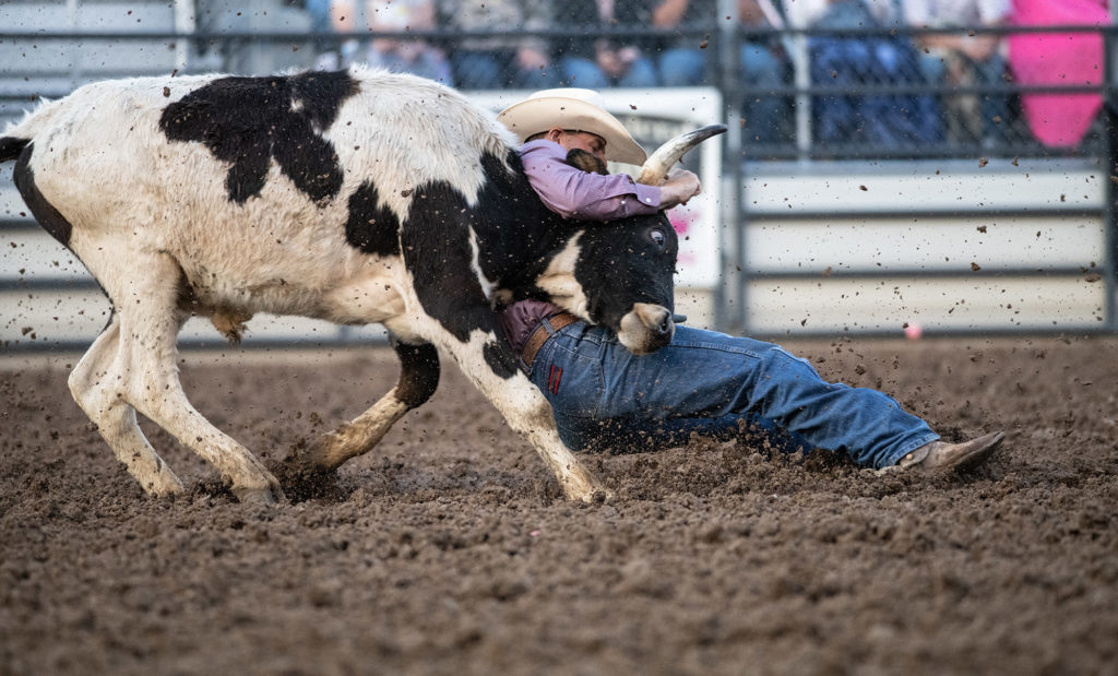 Ute Stampede Rodeo