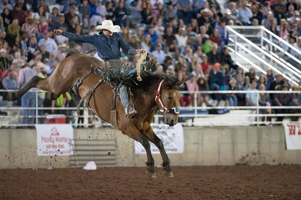 Ute Stampede Rodeo