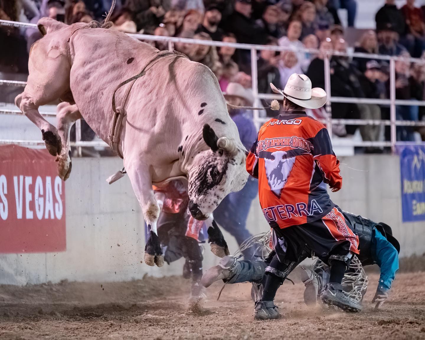 PRCA Xtreme Bulls - Ute Stampede Rodeo