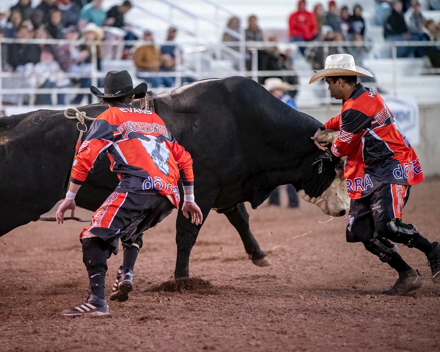 PRCA Xtreme Bulls - Ute Stampede Rodeo